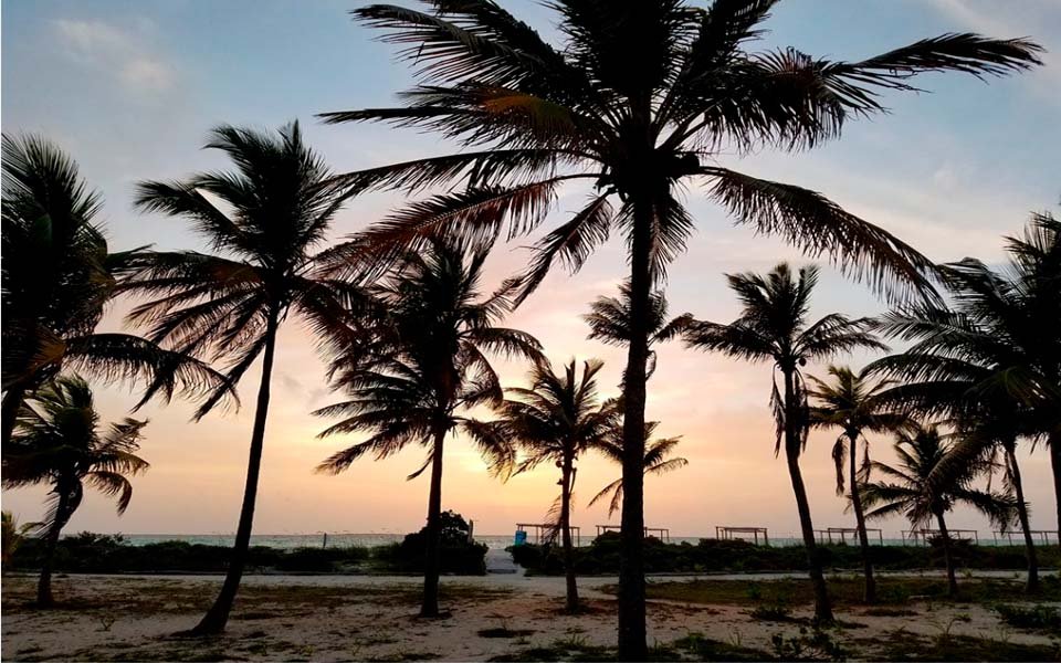 diseno web para abogados